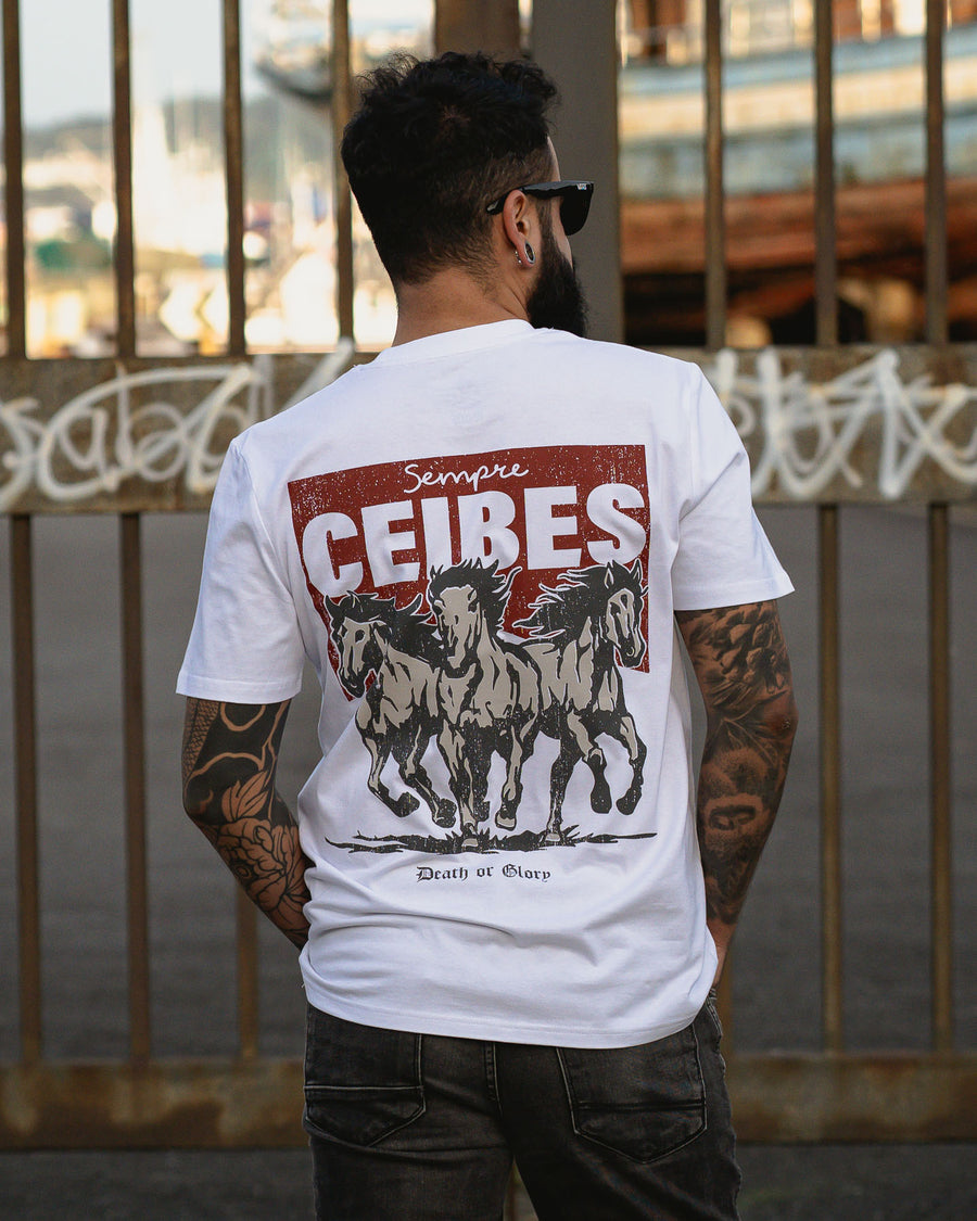 CEIBES