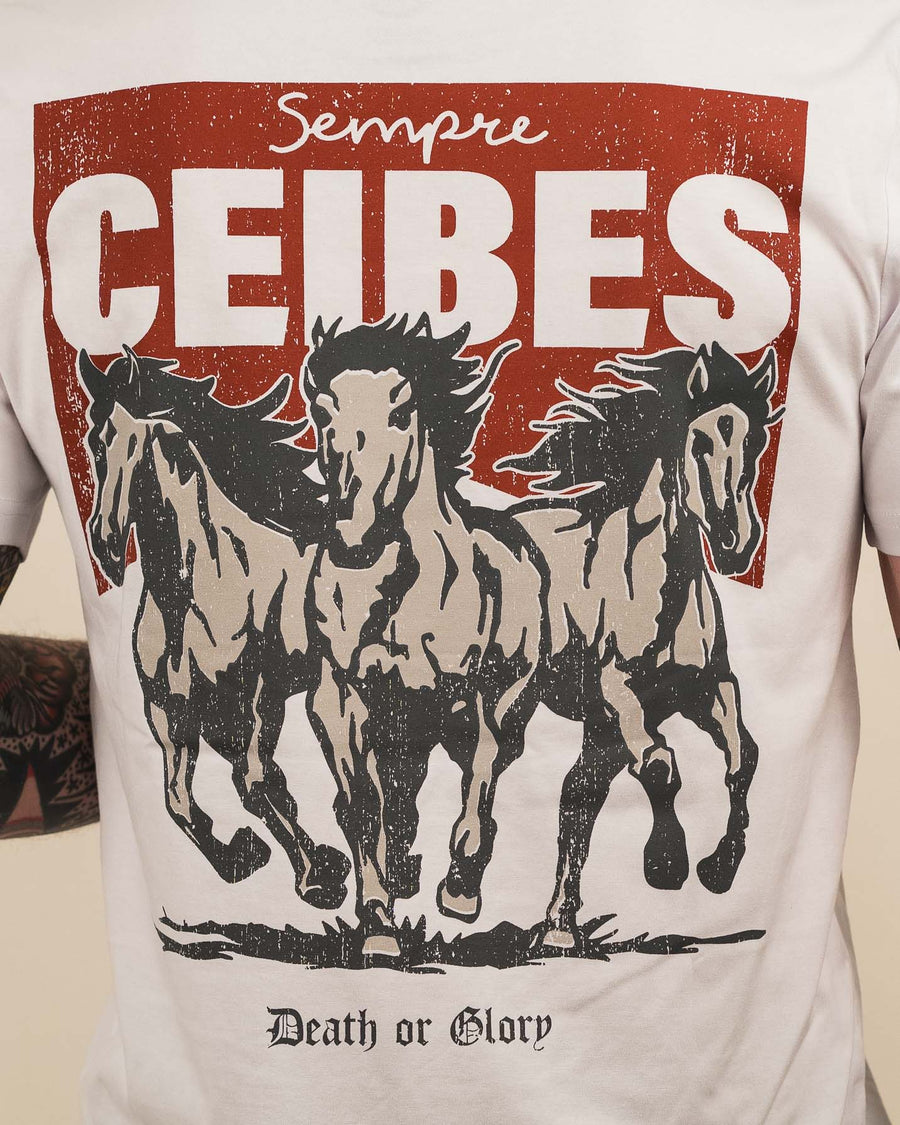 CEIBES