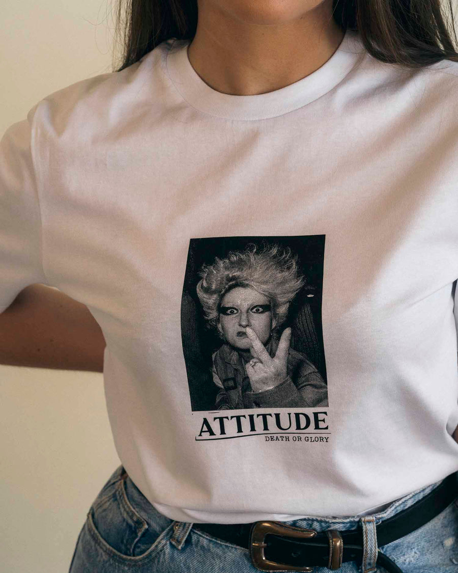 Attitude