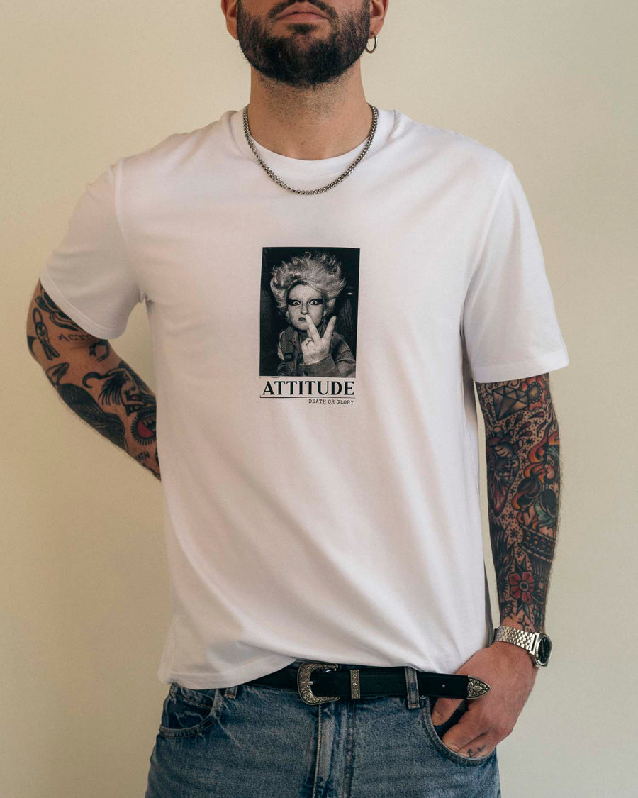 Attitude